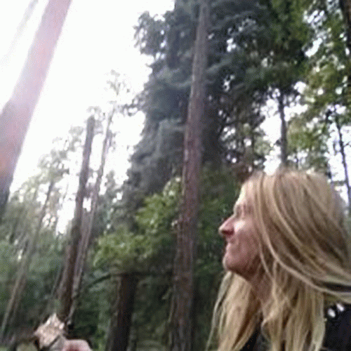 Cyclical Nightmare : An Ode to Lust